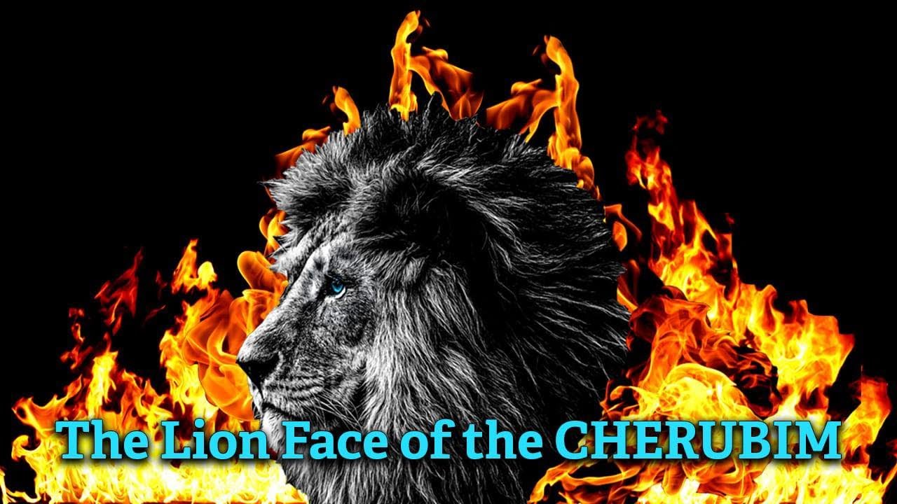 4. The Lion Face of the Cherubim - Keith Malcomson