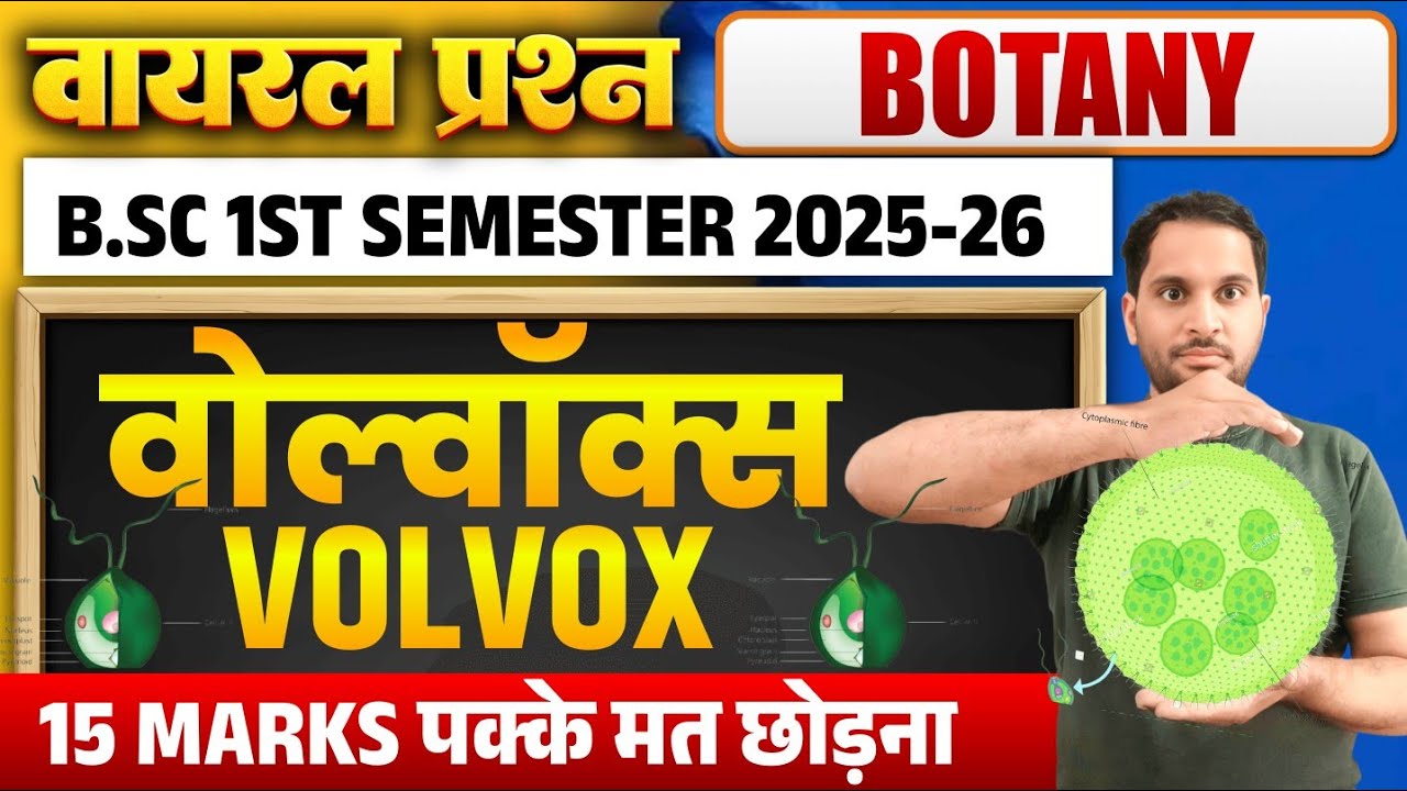 Volvox | Volvox Bsc First Semester | Volvox bsc 1st Year | Bsc 1st Semester Botany Important Topic