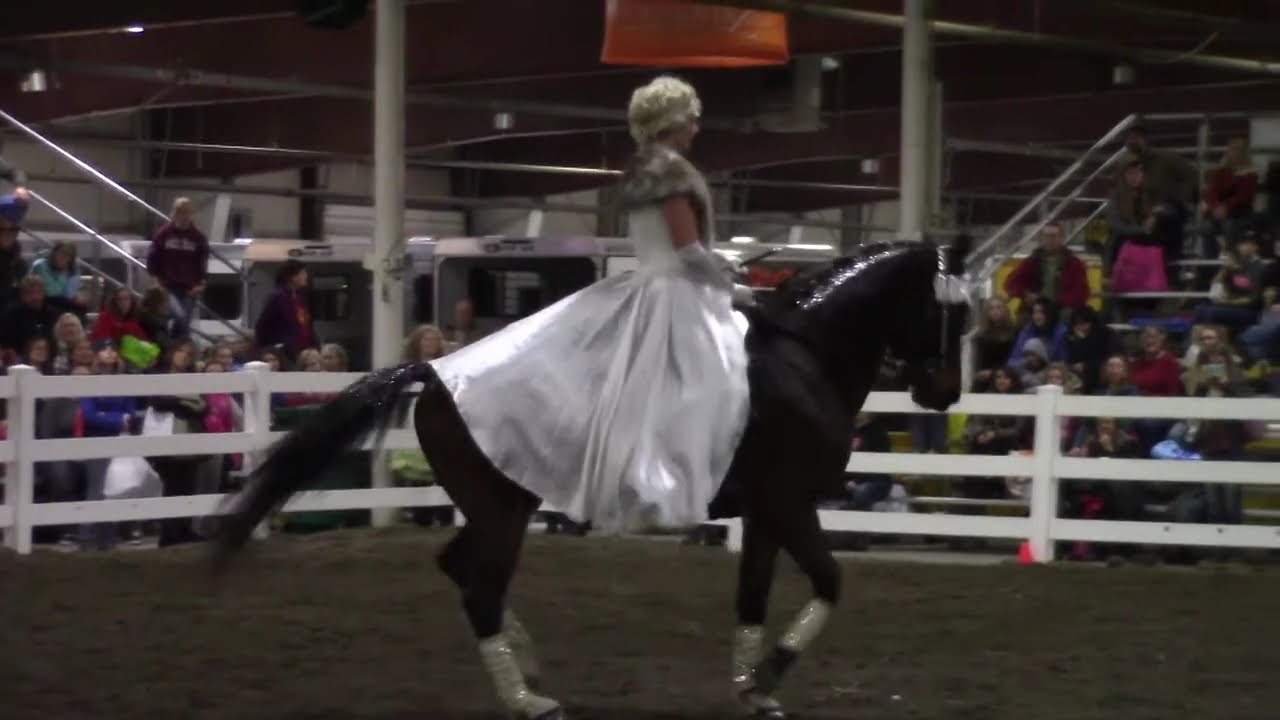 Sandra Beaulieu - Andalusian Breed Demo - Equine Affaire 2015 - Bitless Dressage - Roxie Hart