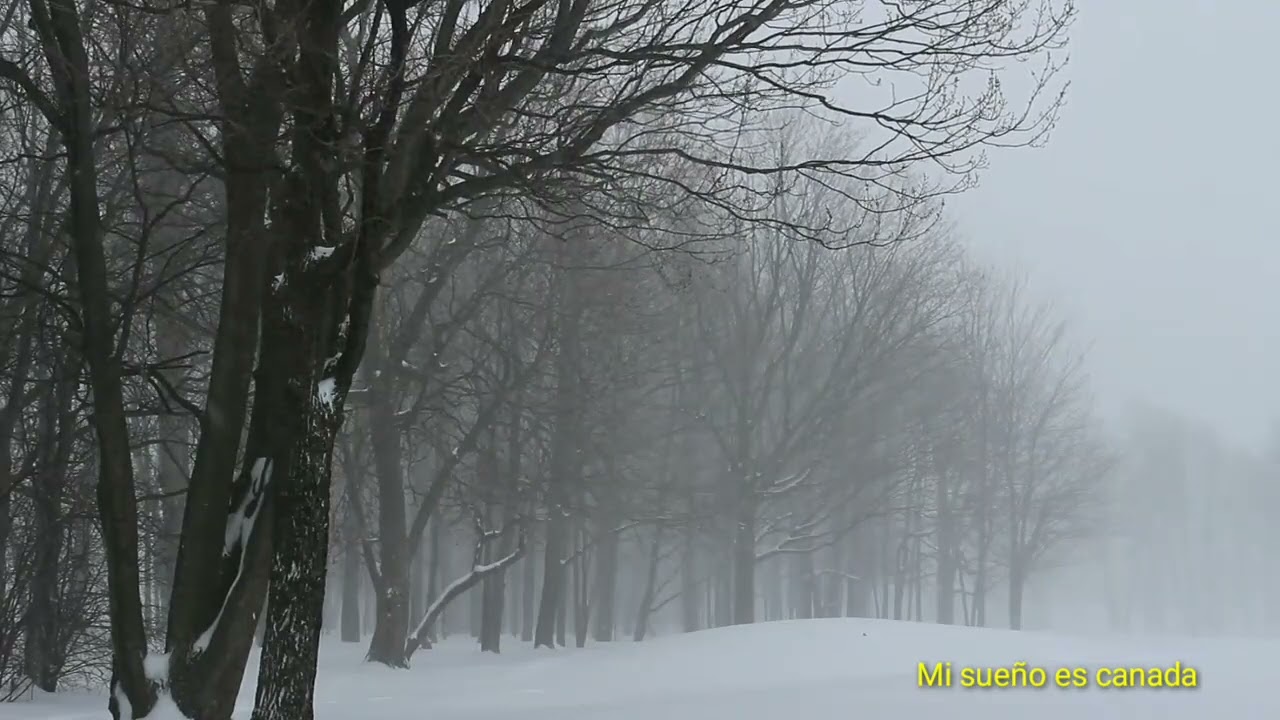 Tormenta de invierno