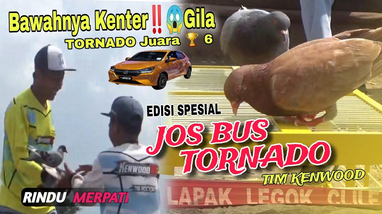 Взрывающиеся💥😱‼️JOS BUS и TORNADO радуют зрителей. Специальная версия автомобиля Kenwood Team Ayl...