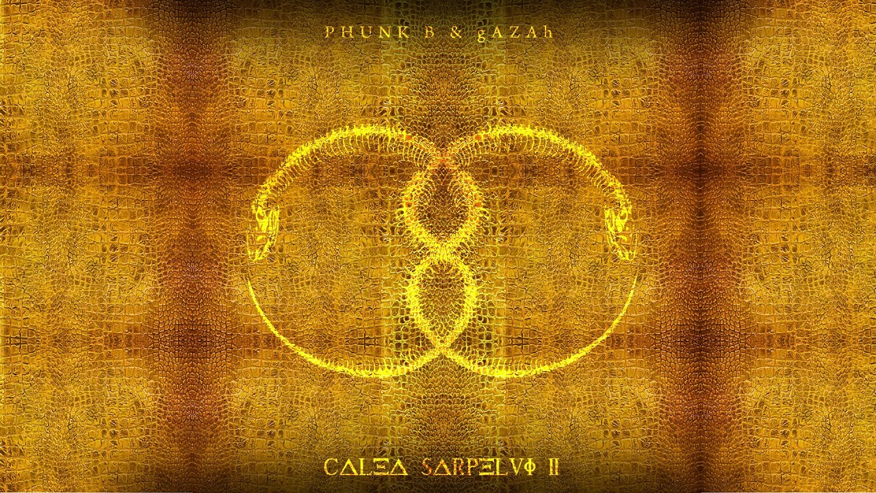 Phunk B x gAZAh - Fuste feste