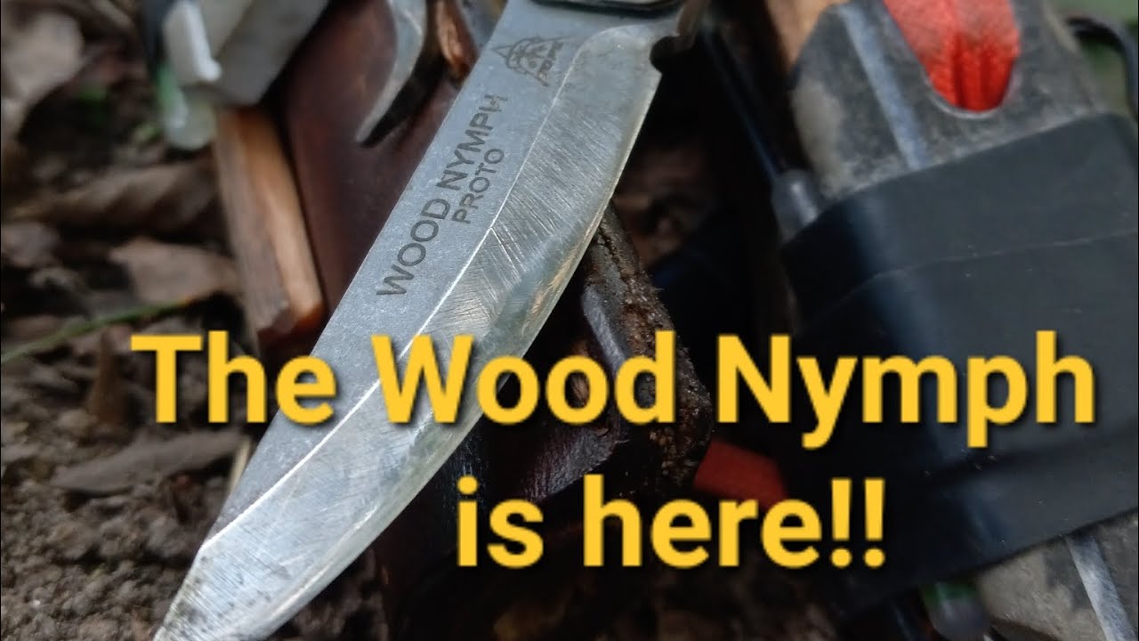 Wood Nymph drops 10/8/2024