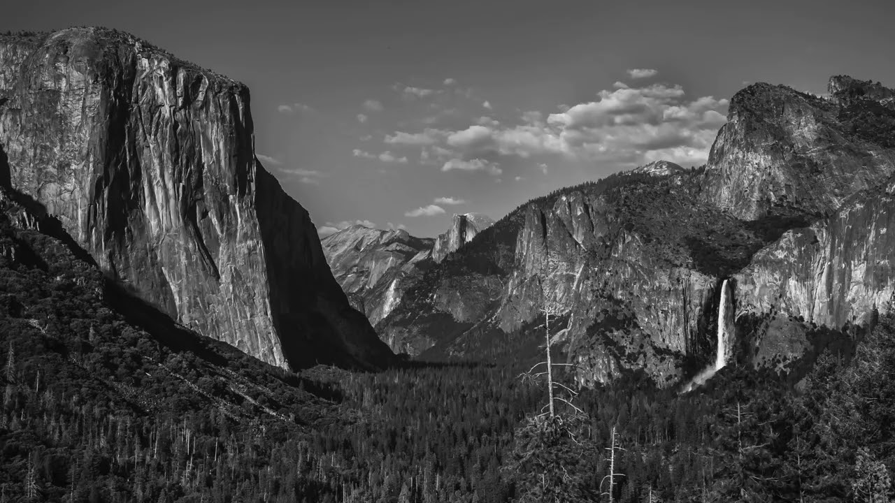 Yosemite NP BW