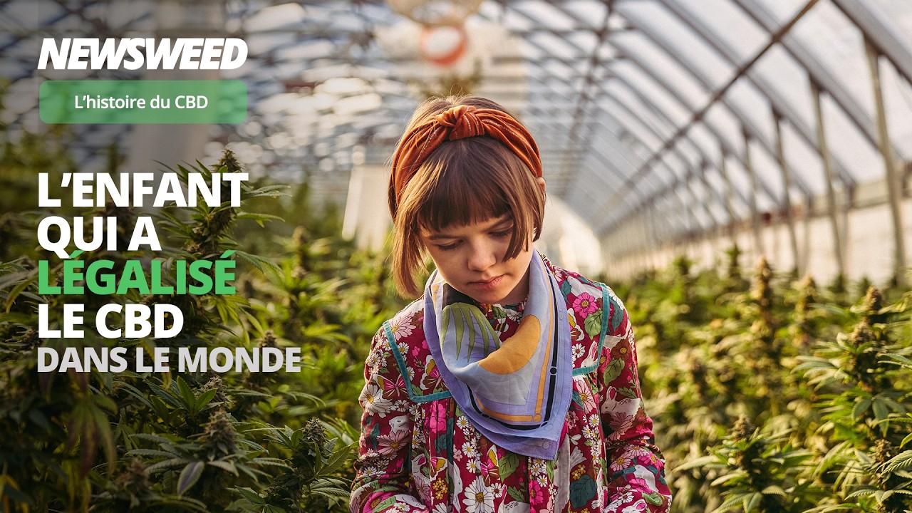 Comment le CBD a conquis le monde