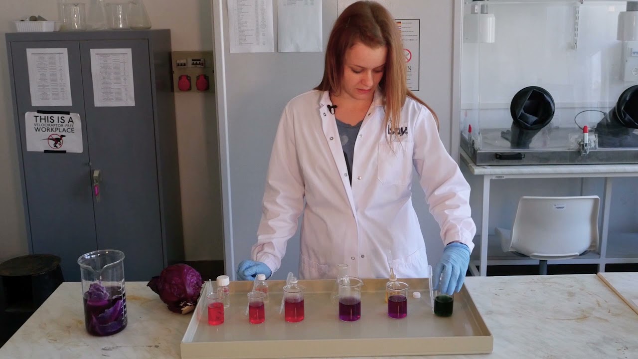 7. Kísérlet: Szivárványos káposztalé