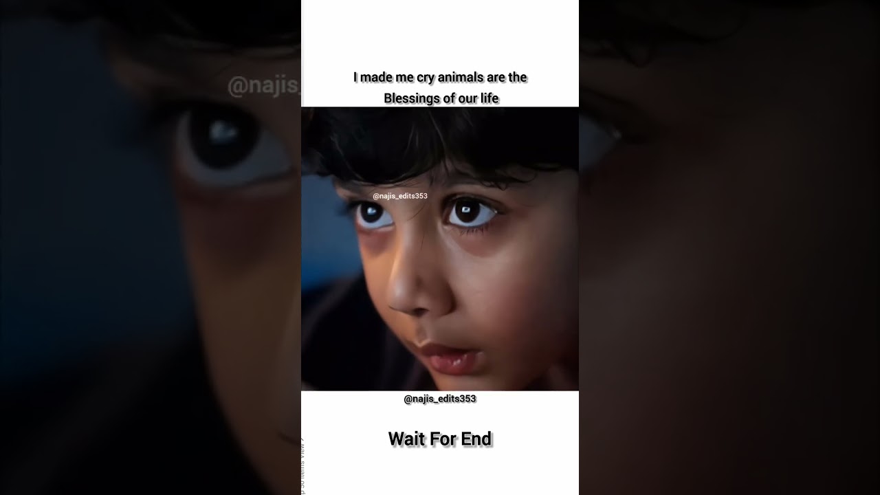 Emotional scene😭😔💯 #dog#care #lifelessons #love#youtubeshorts