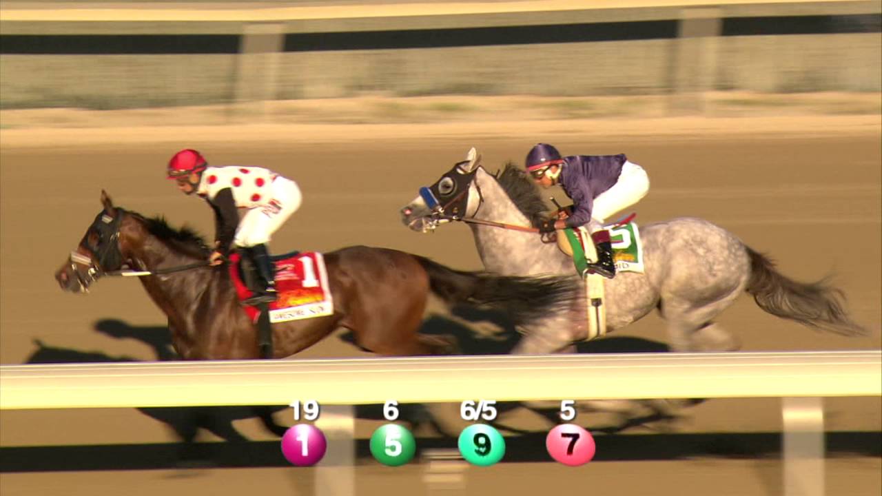 PA Derby 2016 Won by Connect