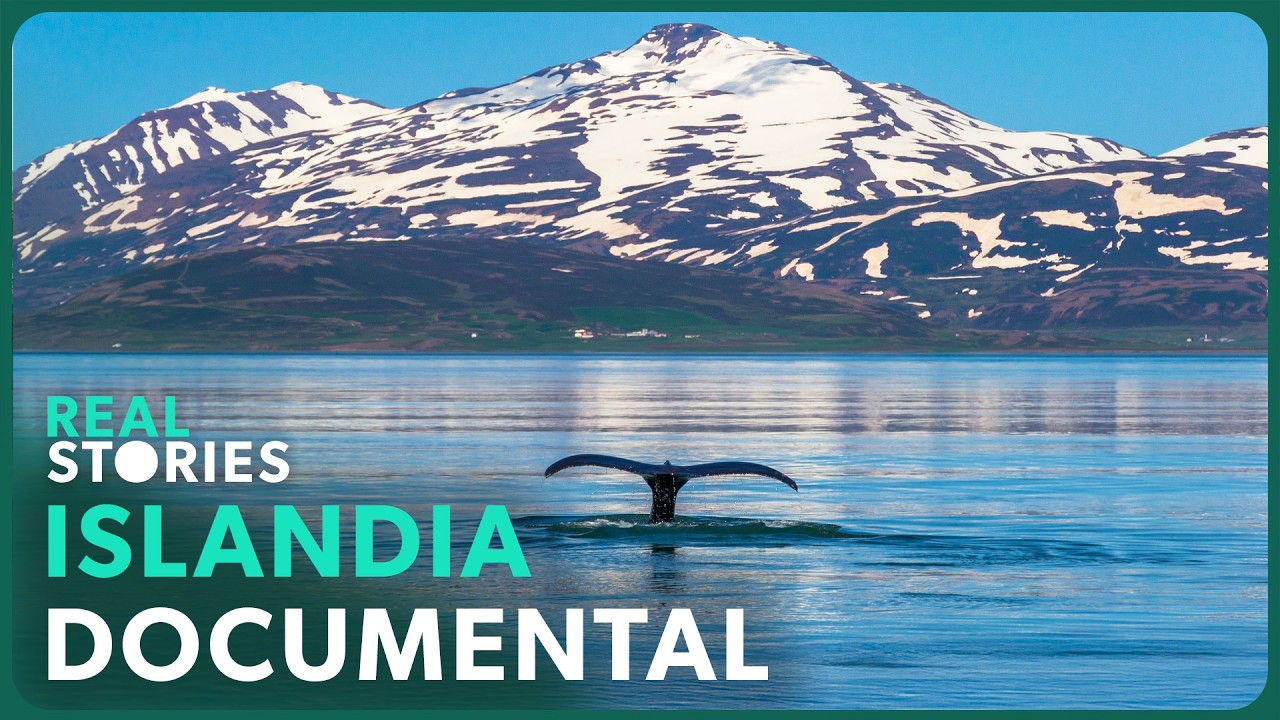 Maravillas del Mundo: ISLANDIA | Documental de Naturaleza y Fauna | Real Stories en Español