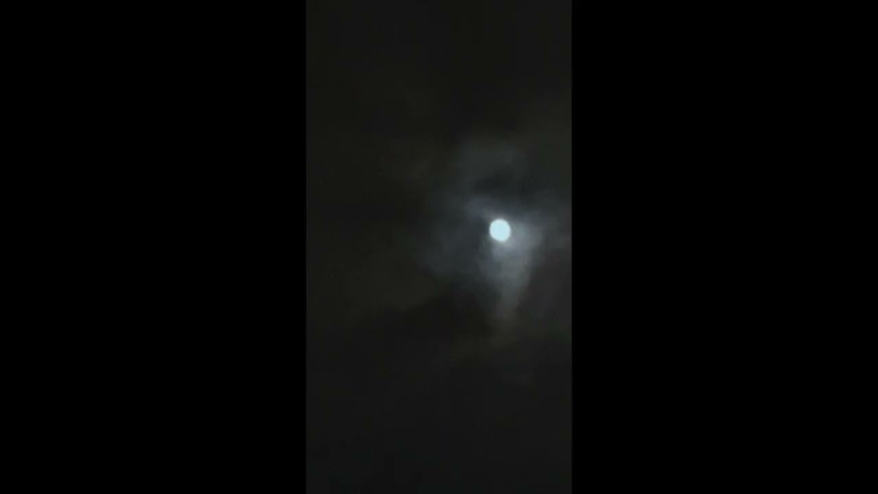 Yuya Hisamoto - 26/01/15demo4