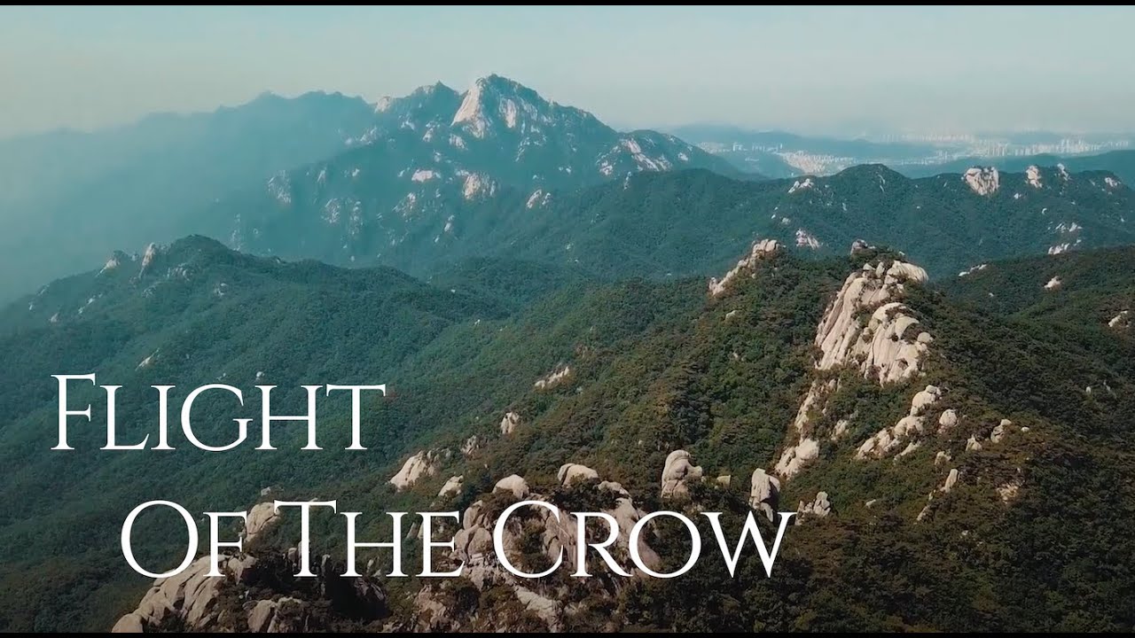 Dan Caine - Flight of the Crow (Official Video)