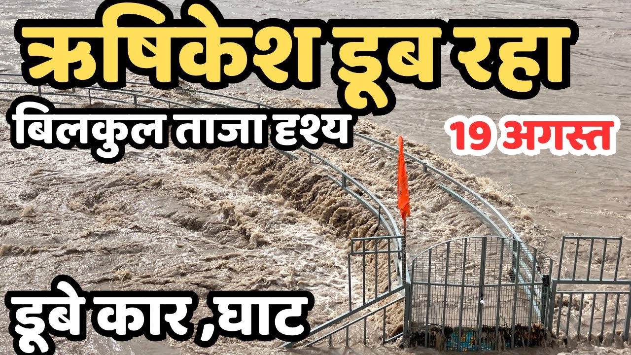 ऋषिकेश डूब गया! घाट खाली हो रहा | भयंकर बारिश, रौद्र मे रूप गंगा | Rishikesh live , Rishikesh flood?