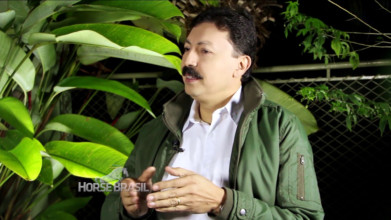 Saiba como se prevenir contra perdas de feno no inverno