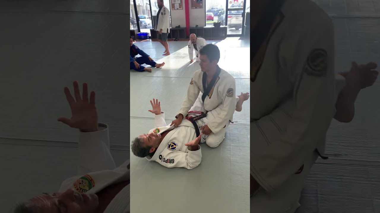 Pedro Sauer active guard vs passive.