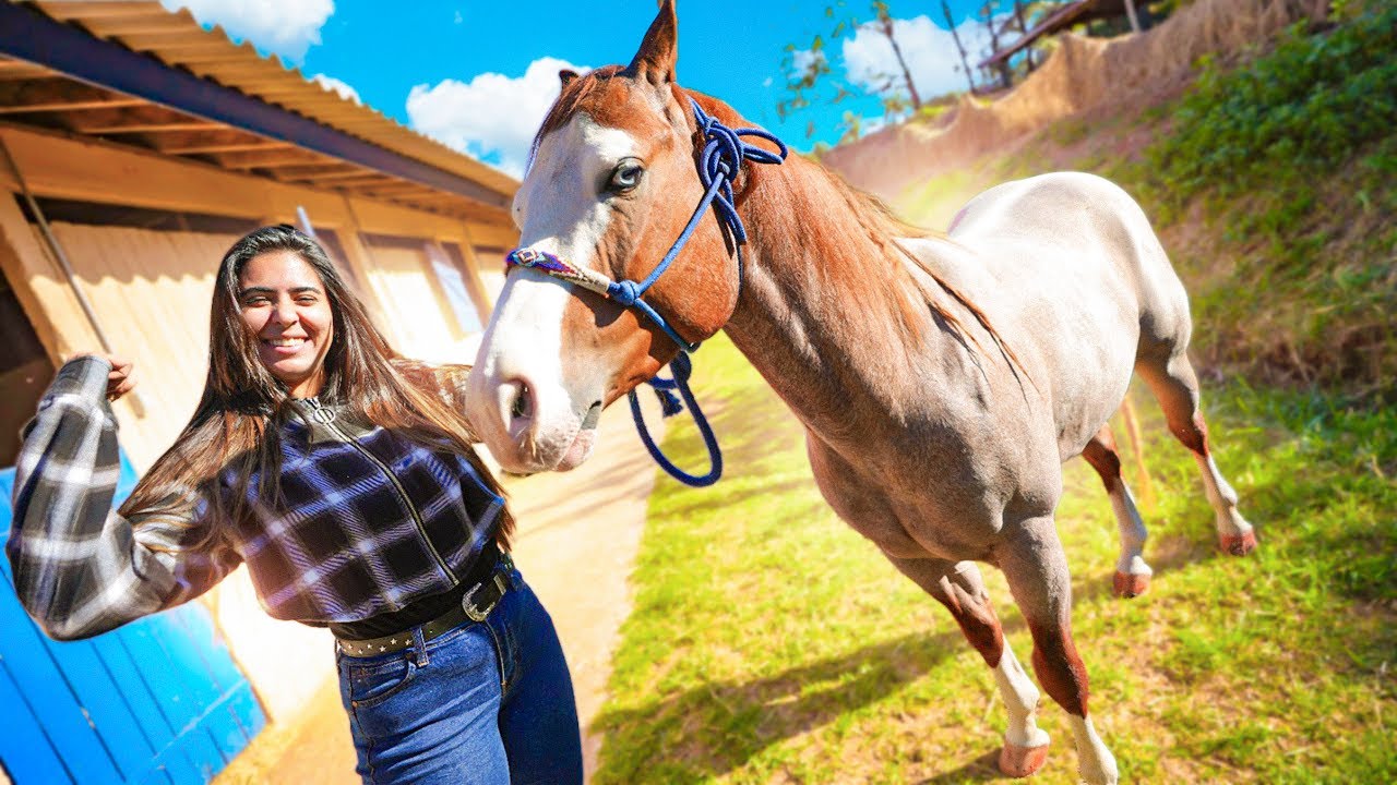 AQUI TEM MAIS DE 30 CAVALOS!! ENCONTREI O MEU CAVALO DOS SONHOS