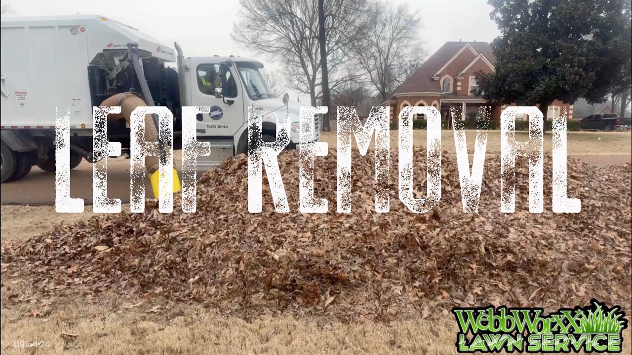 Leaf Removal