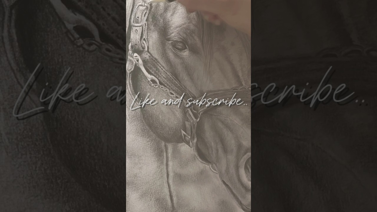 #horse #drawing #art #shorts drawing in process…  dibujo en proceso