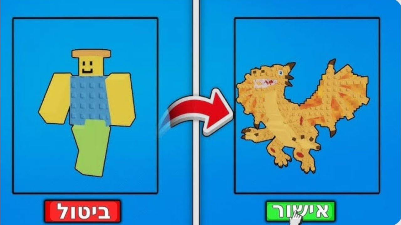 לייב מנוביני לדרקון ואל הדרך טריידים