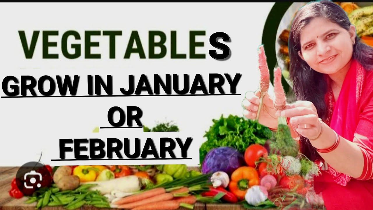 🥕🥬January-February mein lagaye kuch vegetables! 30 Din mein Harvest!You Can Grow Fast winter Veggies