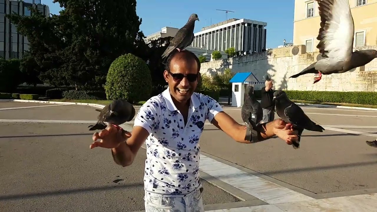 Необработанные кадры: Голубь садится на голову туриста на площади Синтагма 🐦 #короткометражки