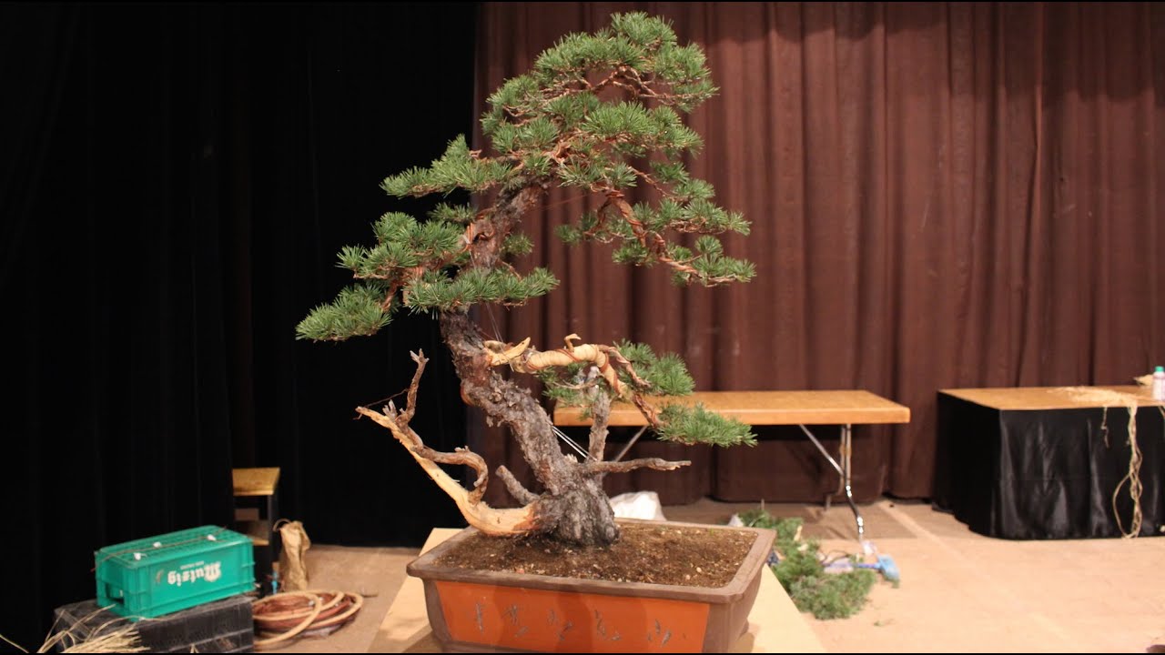 David Benavente's demo at Bonsai-San