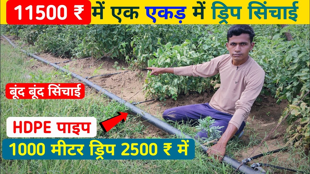 एक एकड़ में ड्रिप सिंचाई केवल 11500 ₹ में 💯💯 सबसे सस्ती और सबसे अच्छी ड्रिप सिंचाई #dripirrigation