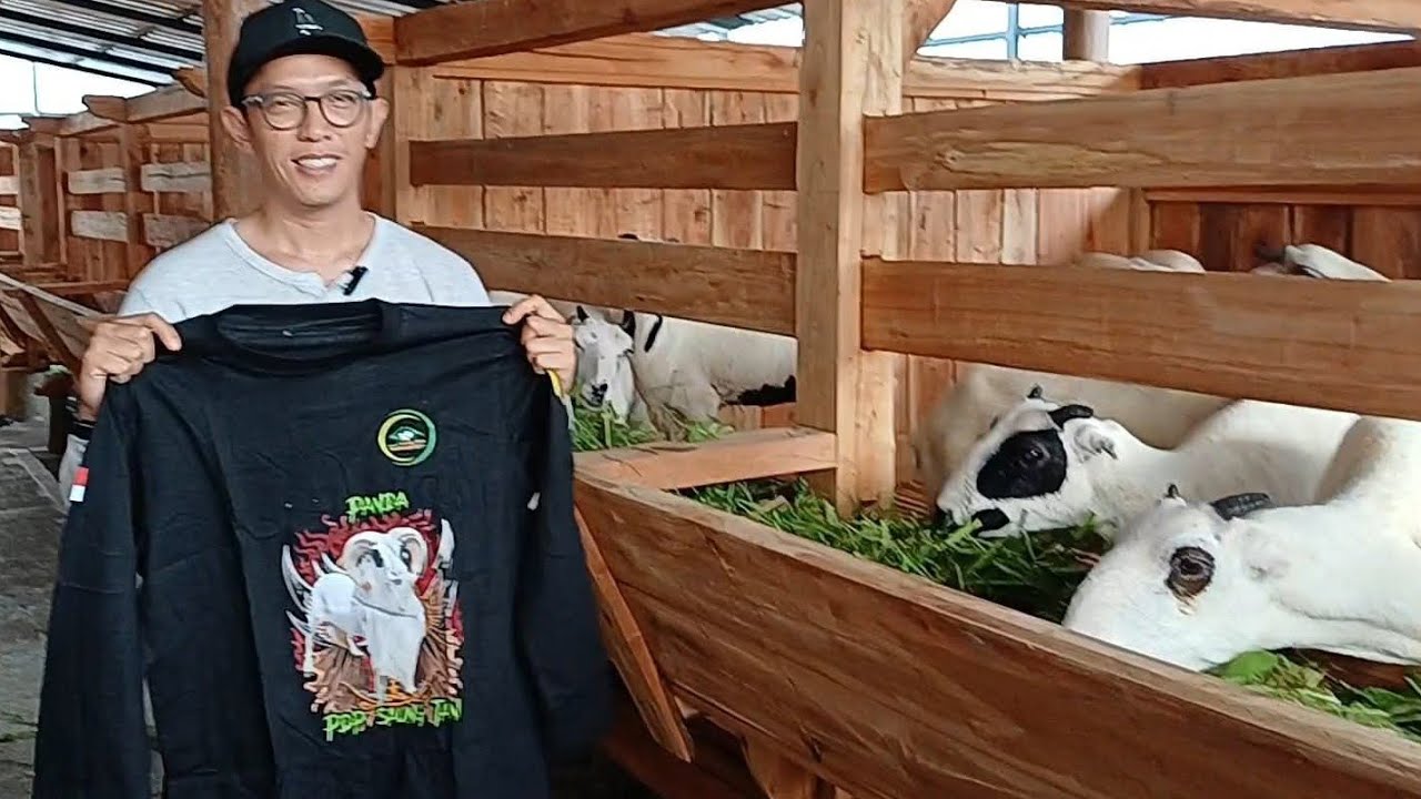 PAKET BREEDING PEJANTAN BIG KLS A KE PADALARANG BANDUNG BARAT