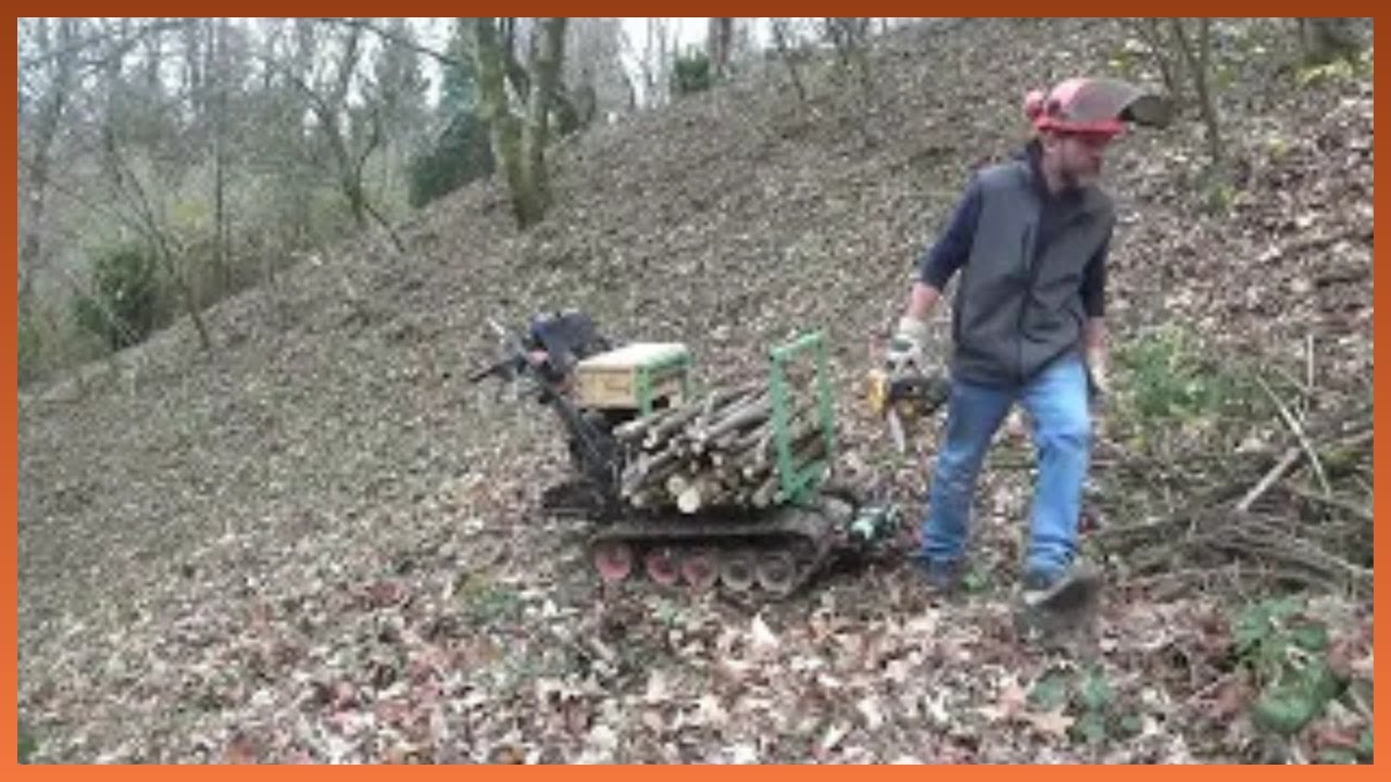 pulizia zona nord - est recupero legna di piante cadute ...