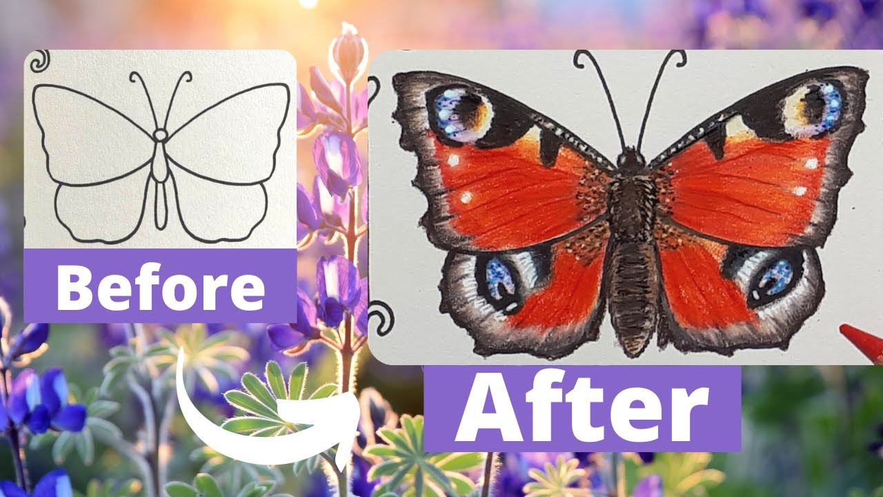 Comment colorier un papillon de façon réaliste aux crayons de couleurs : il semble prêt à s'envoler!