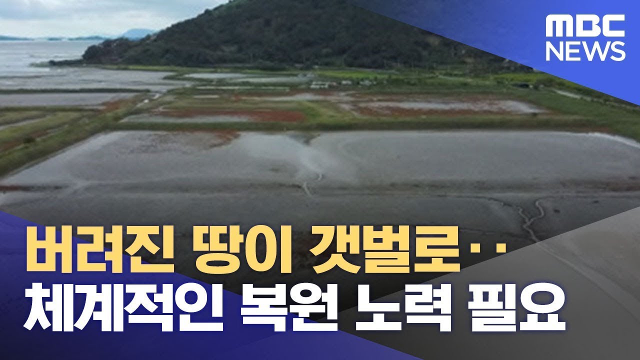 버려진 땅이 갯벌로‥체계적인 복원 노력 필요 (2022.09.12/뉴스데스크/MBC)