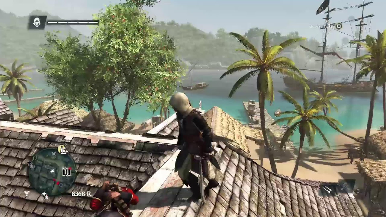 Assassin's Creed Black Flag