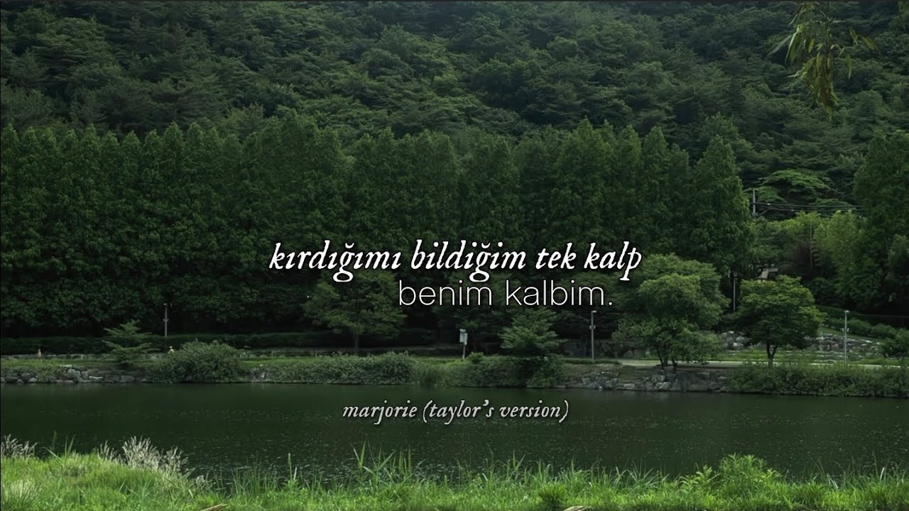 Taylor Swift - 'tis the damn season // Türkçe Çeviri