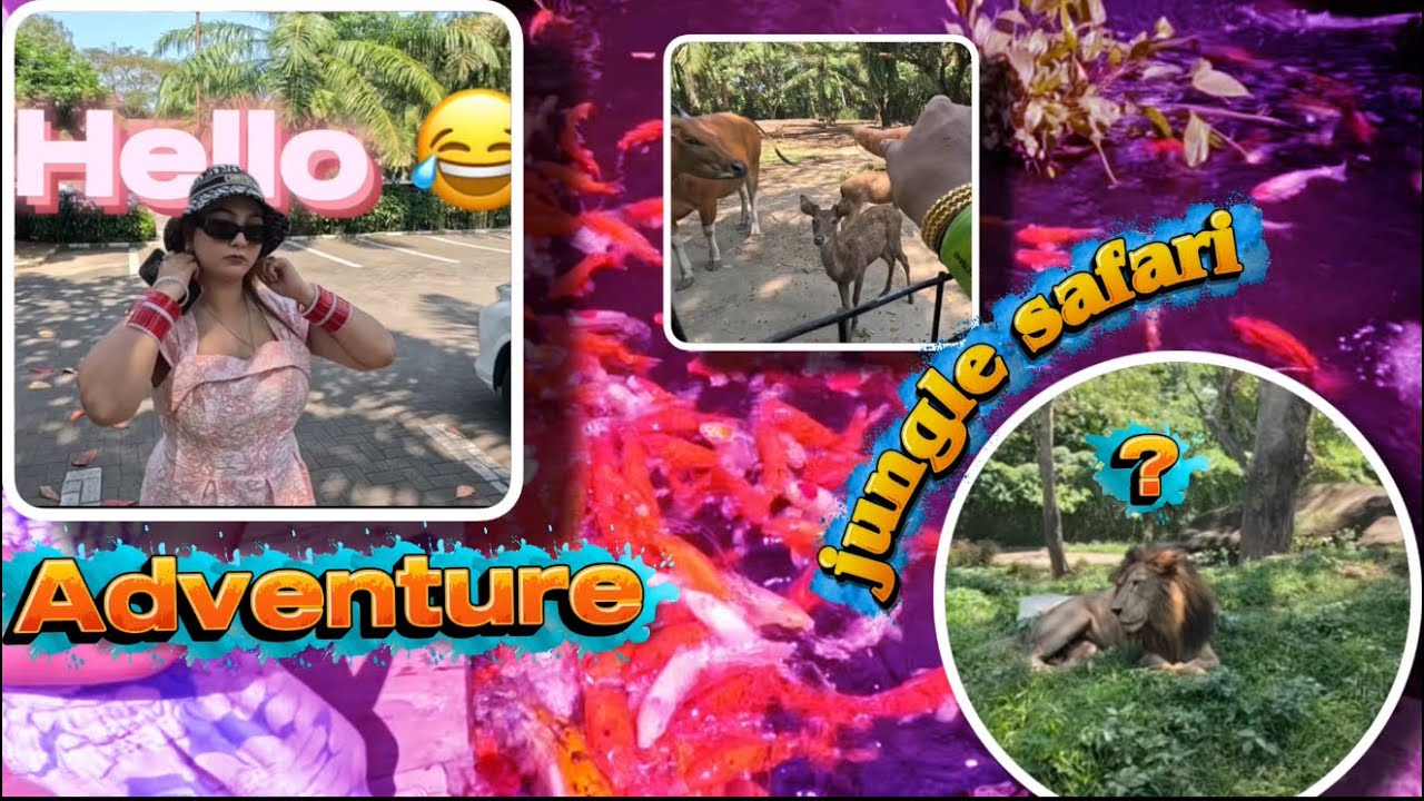 Bali Jungle safai main maza aagya humne dekha tiger show 😍