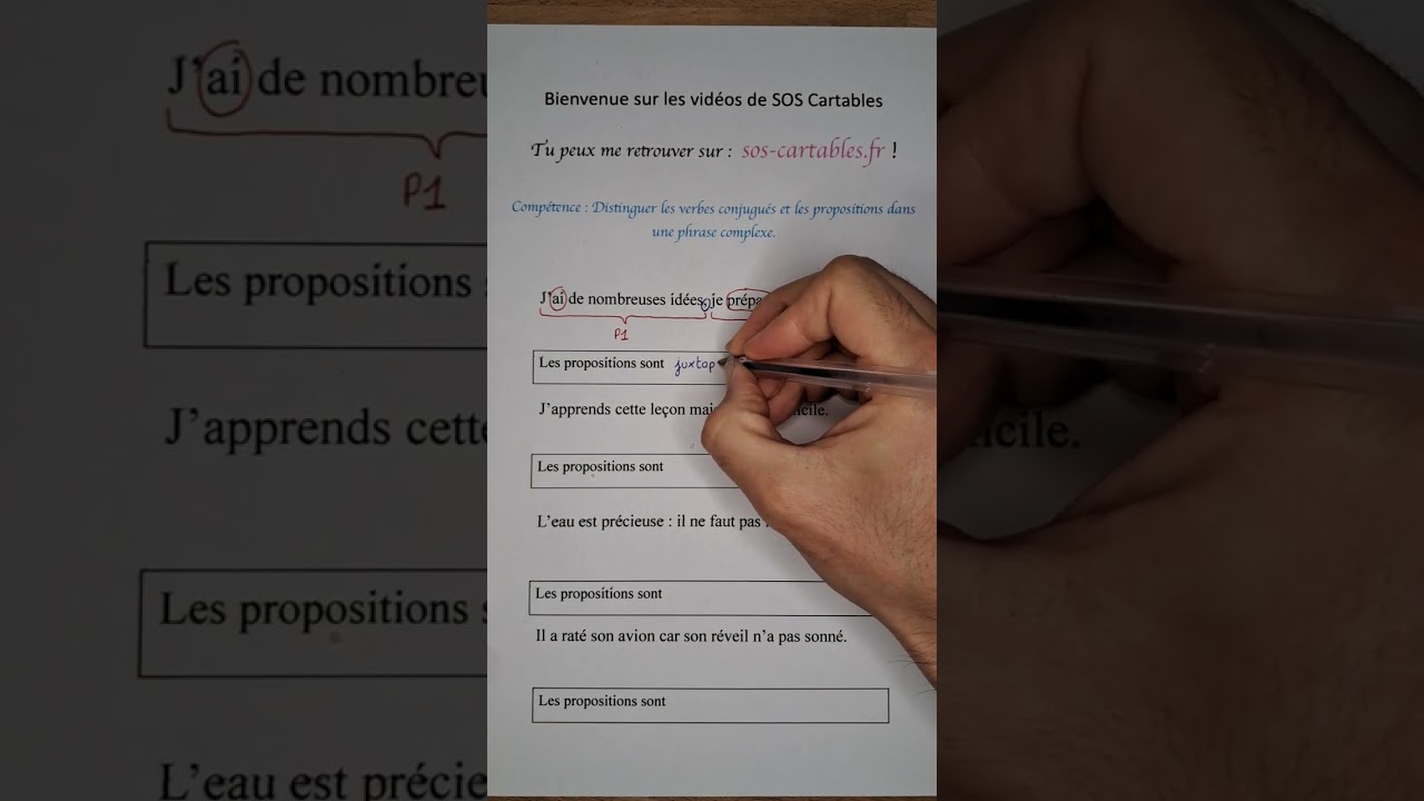 Les phrases complexes (1)