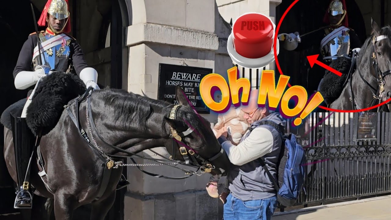 OH NO! He Gets Bitten😢 Guard SLAMS the EMERGENCY BUTTON!