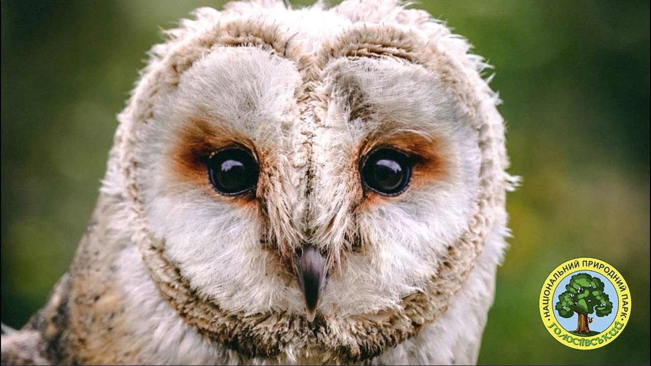 Запитай природознавця, випуск 7