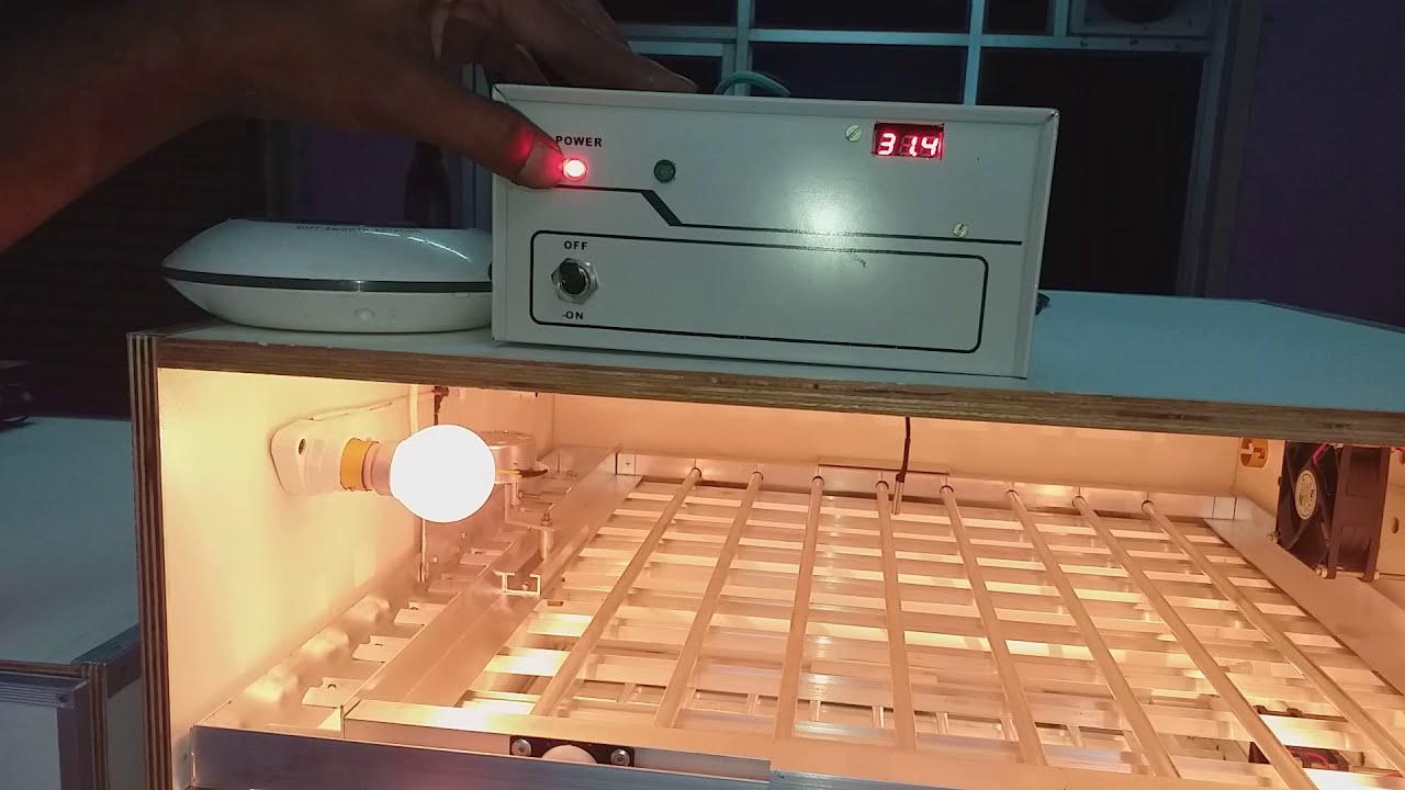 incubator automatic incubator in tamil tamilnadu low cost incubator  ஆட்டோமேடிக் இங்குபெட்டர்