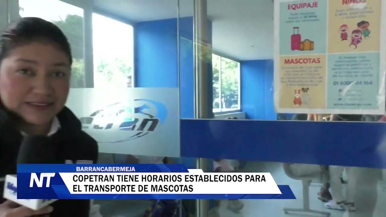 Copetran tiene horarios establecidos para el transporte de mascotas