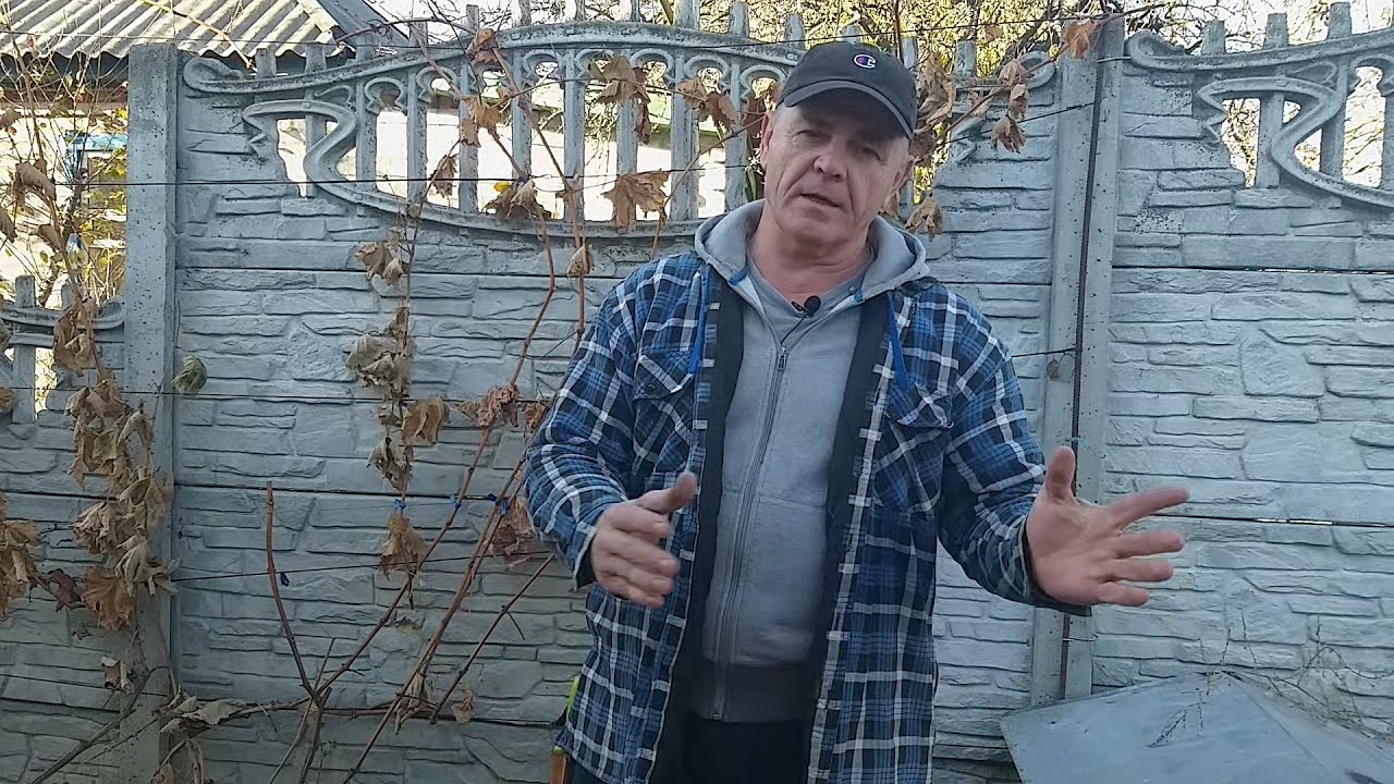 Простая обрезка и формировка неукрывного винограда.