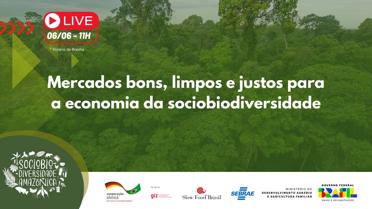 Mercados bons, limpos e justos para as Economias da Sociobiodiversidade