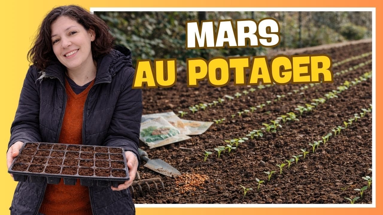 👩&zwj;🌾 Que faire au potager en mars ? Semis, plantations et travaux du mois
