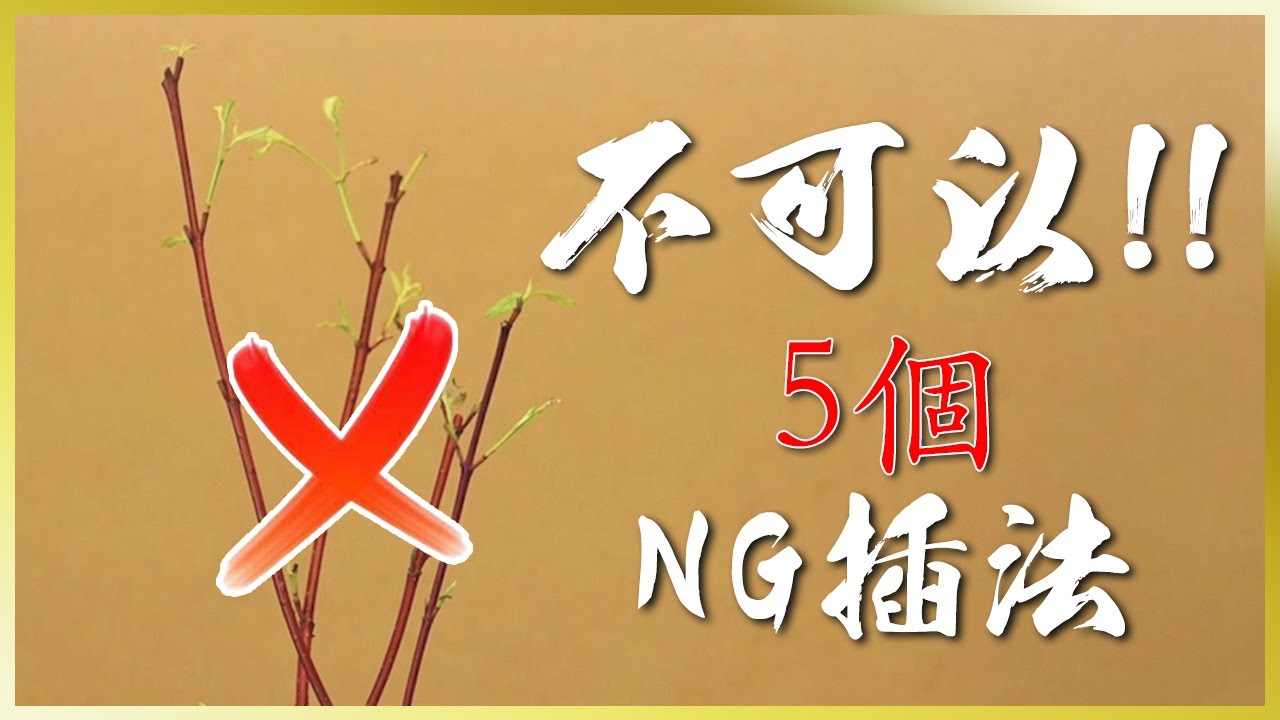 插花教學｜花藝課程｜“NG 插法” NG 插法代表 5 個
