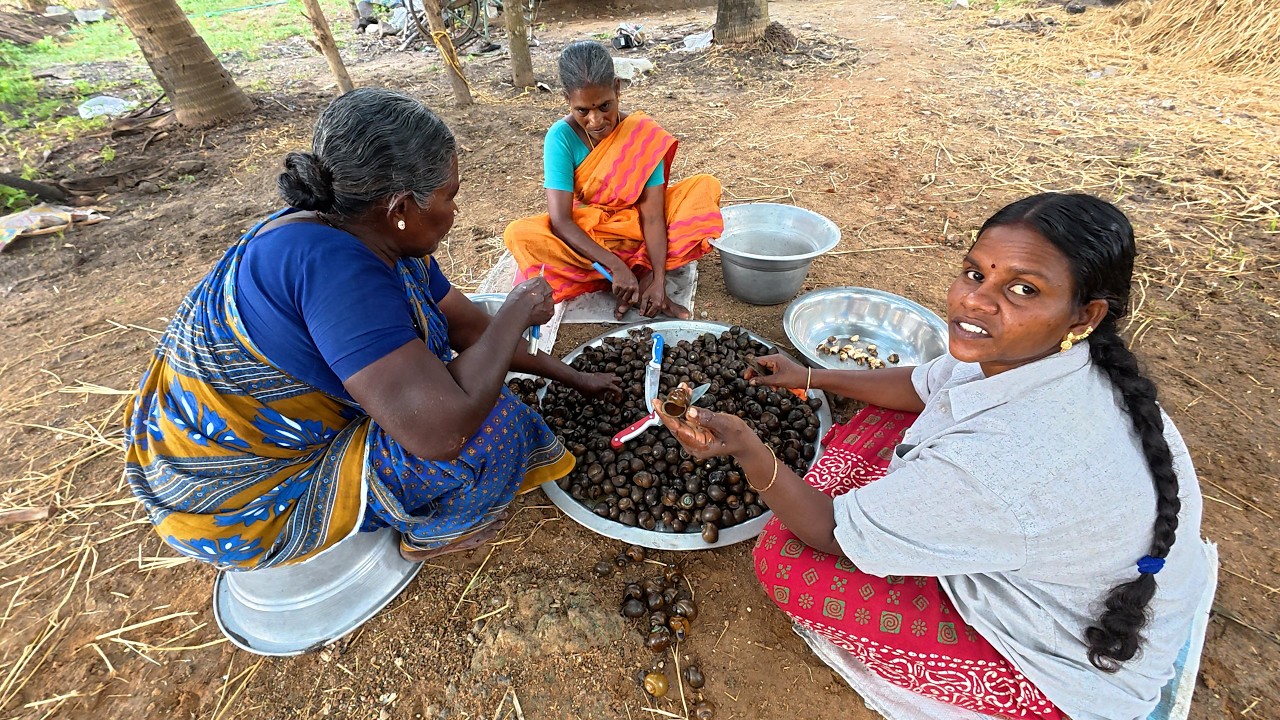 பழைய நினைவுகளுடன் மாமியார் 2 மருமகள்களுடன்  நத்தை சுத்தம் செய்யும் வேலைகள் / SNAIL CLEANING