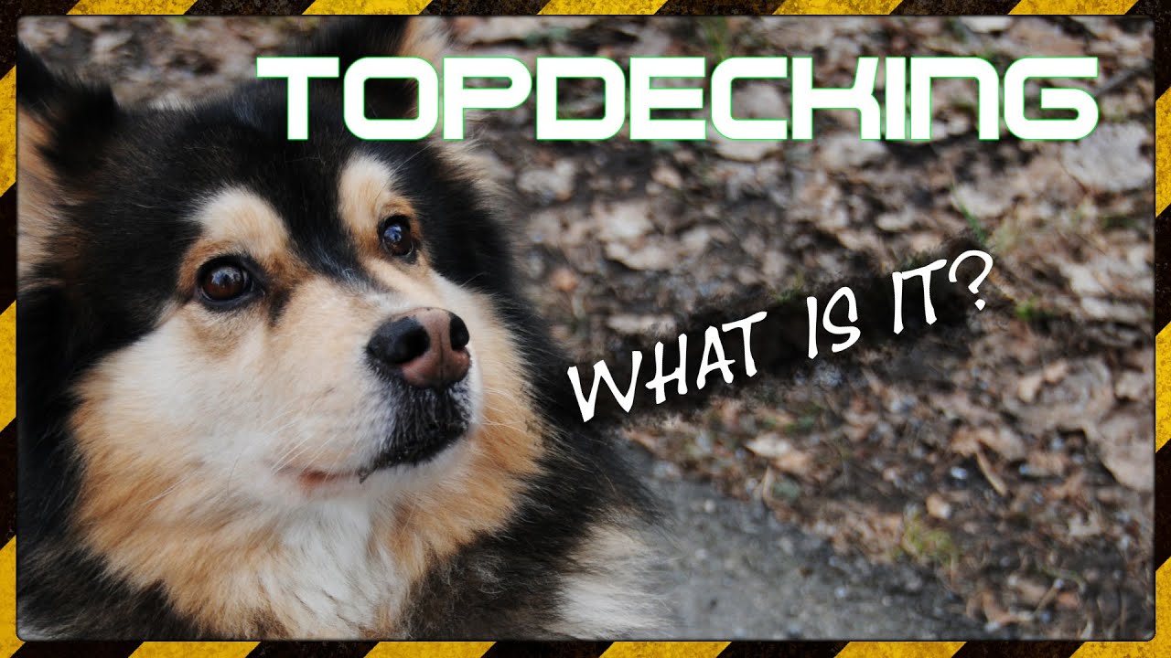 What is Topdecking | Game Terms Explained