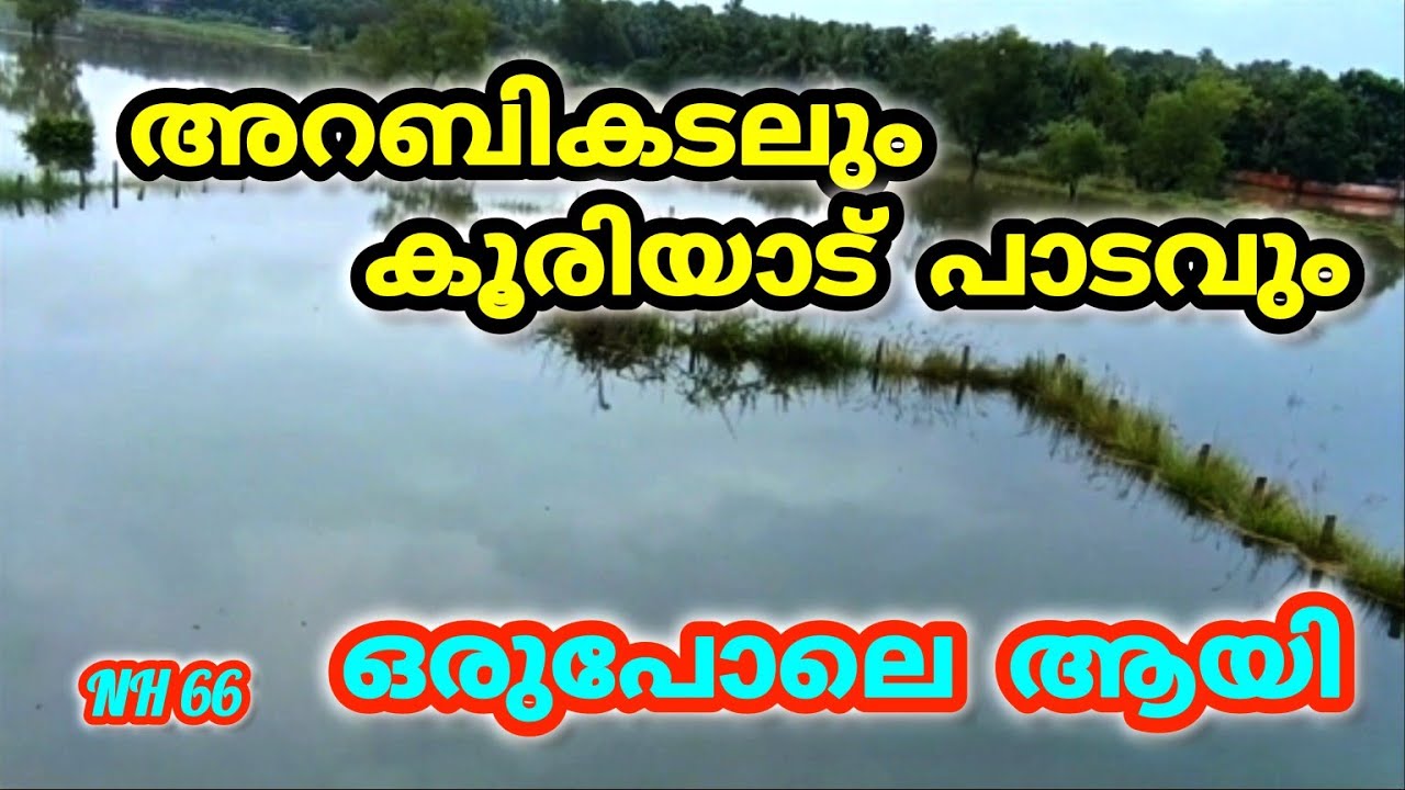 അറബിക്കടലും കൂരിയാട് പാടവും ഒരുപോലെ വെള്ളത്തിൽ  കൂരിയാട് കൊളപ്പുറം കക്കാട്