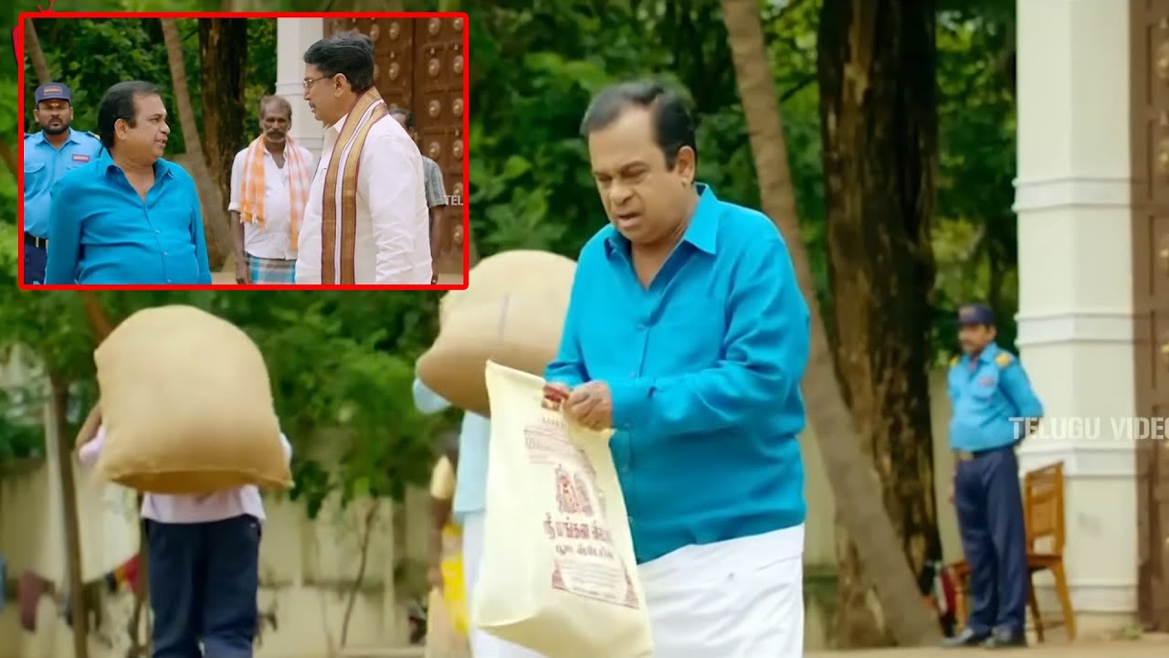 Brahmanandam  Shocking Telugu Best Hilarious Comedy Scene | @TeluguVideoZ