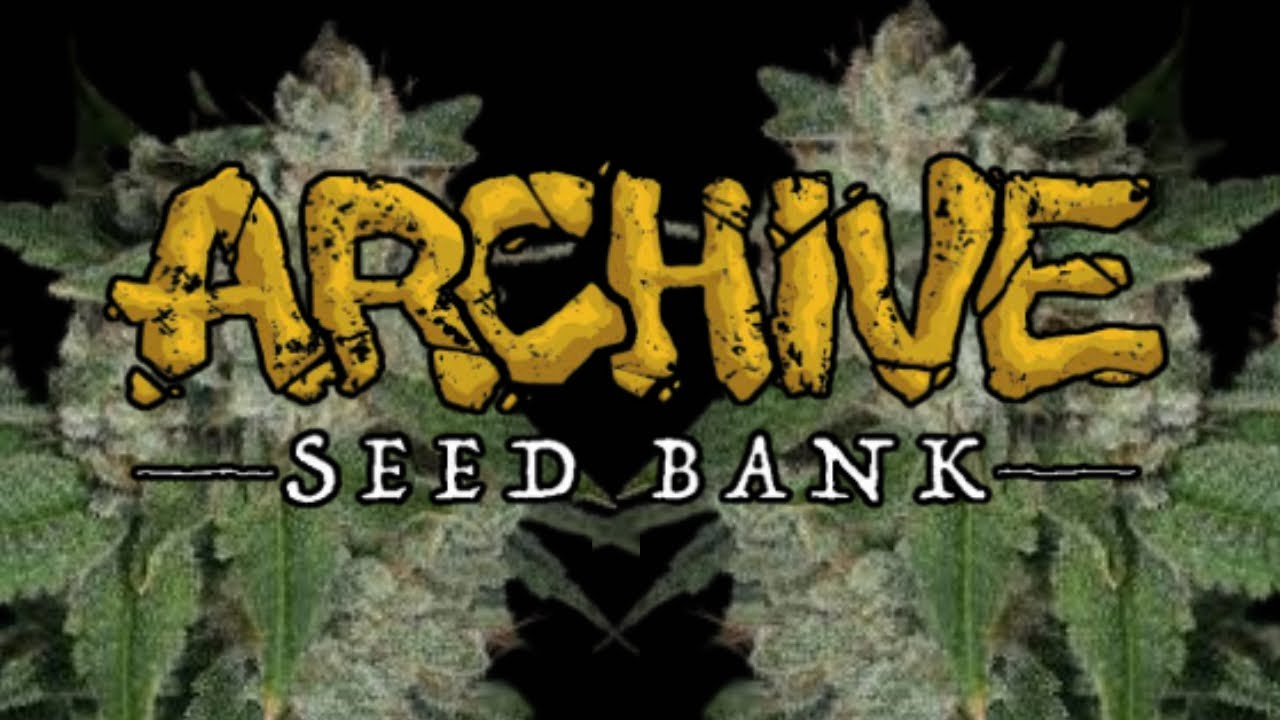 The Archive of RARE Cannabis Flavors Documentary