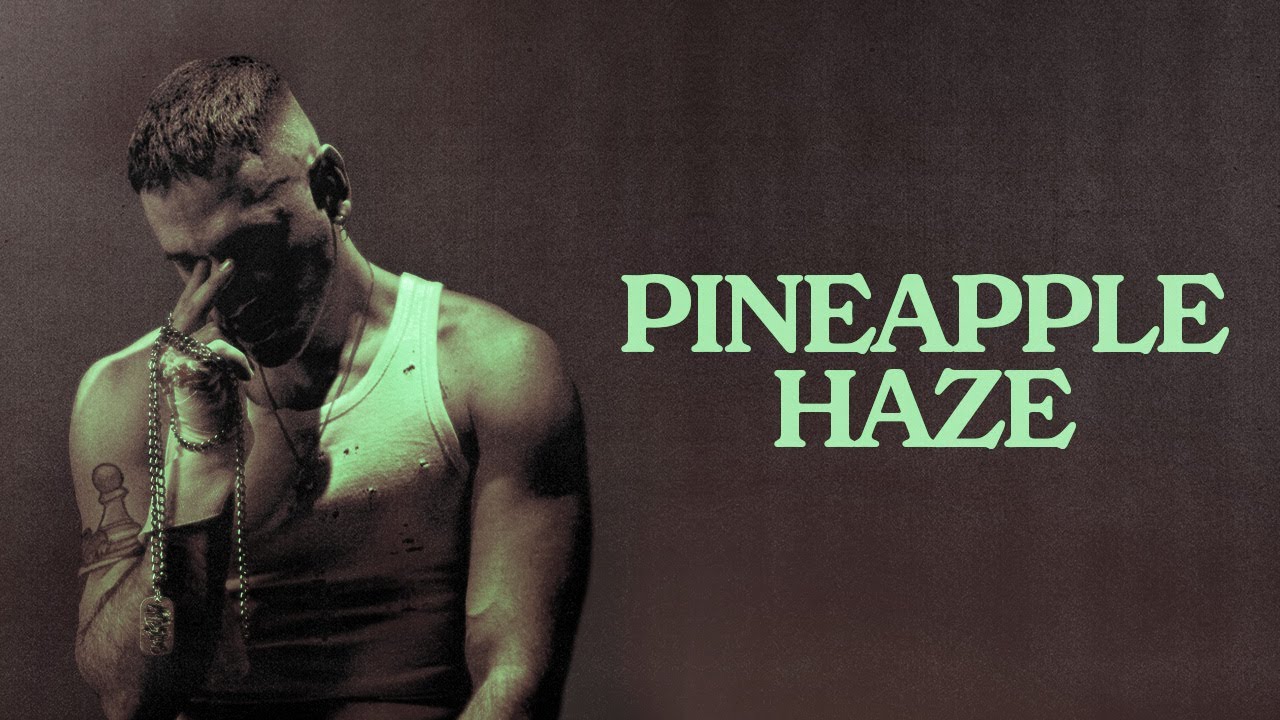Hawk - Pineapple Haze (Official Audio)