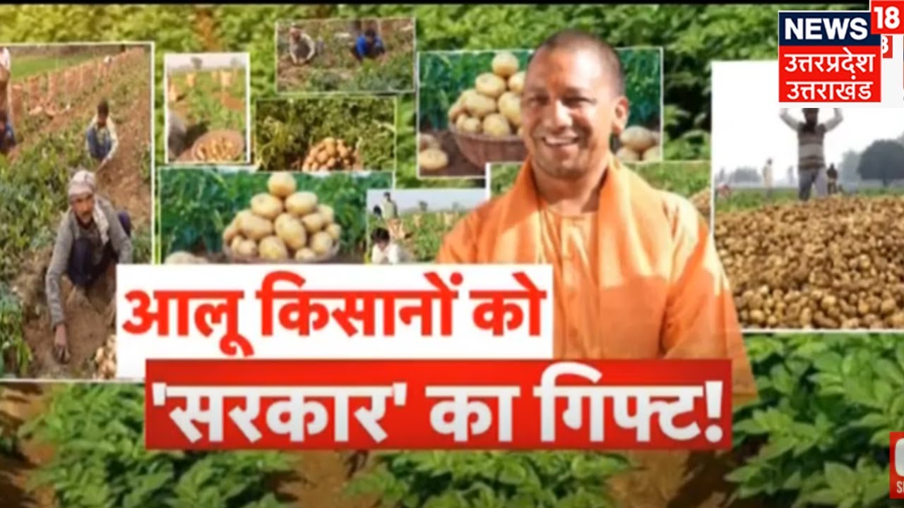 UP News : Yogi Government ने आलू किसानों को दी बड़ी सौगात, अब सरकार 650 रुपए क्विंटल में खरीदेगी आलू