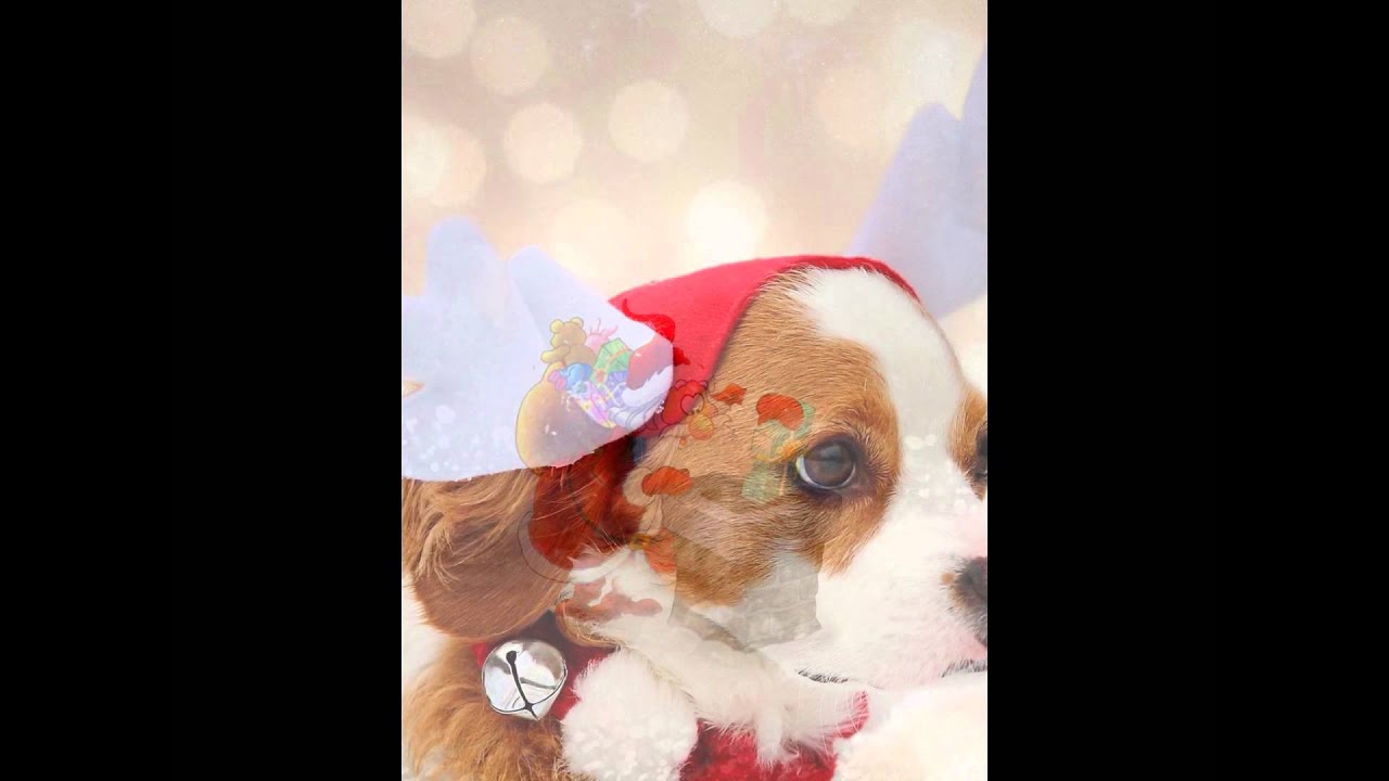 Navidades adelantadas!!!!!!